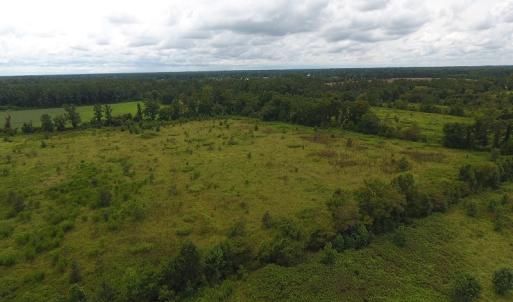 Photo #14 of SOLD property in Off Locklin Pocosin Road, Rose Hill, NC 63.0 acres