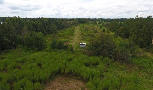 Photo #15 of SOLD property in Off Locklin Pocosin Road, Rose Hill, NC 63.0 acres