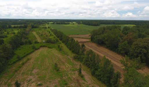 Photo #16 of SOLD property in Off Locklin Pocosin Road, Rose Hill, NC 63.0 acres