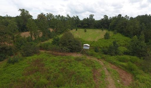 Photo #17 of SOLD property in Off Locklin Pocosin Road, Rose Hill, NC 63.0 acres