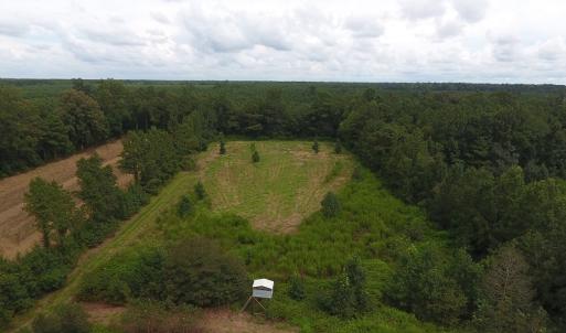 Photo #19 of SOLD property in Off Locklin Pocosin Road, Rose Hill, NC 63.0 acres