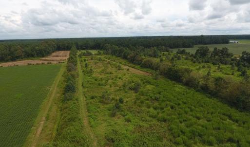 Photo #4 of SOLD property in Off Locklin Pocosin Road, Rose Hill, NC 63.0 acres