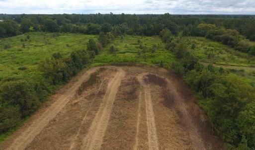 Photo #6 of SOLD property in Off Locklin Pocosin Road, Rose Hill, NC 63.0 acres