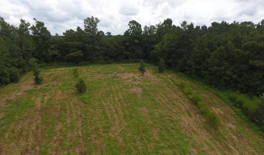 Photo #7 of SOLD property in Off Locklin Pocosin Road, Rose Hill, NC 63.0 acres