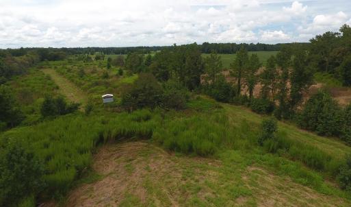 Photo #8 of SOLD property in Off Locklin Pocosin Road, Rose Hill, NC 63.0 acres
