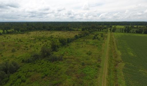 Photo #9 of SOLD property in Off Locklin Pocosin Road, Rose Hill, NC 63.0 acres
