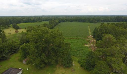 Photo #2 of SOLD property in 15535 Seven Creeks Hwy, Tabor City, NC 13.0 acres