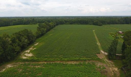 Photo #11 of 15535 Seven Creeks Hwy, Tabor City, NC 13.0 acres