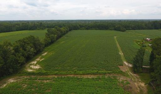 Photo #11 of SOLD property in 15535 Seven Creeks Hwy, Tabor City, NC 13.0 acres