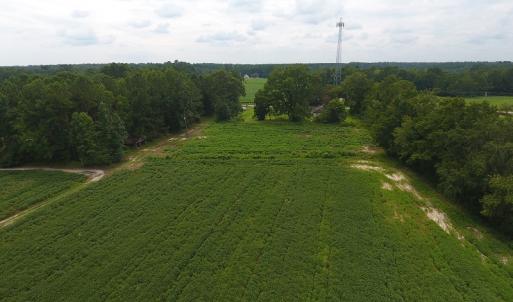 Photo #3 of 15535 Seven Creeks Hwy, Tabor City, NC 13.0 acres