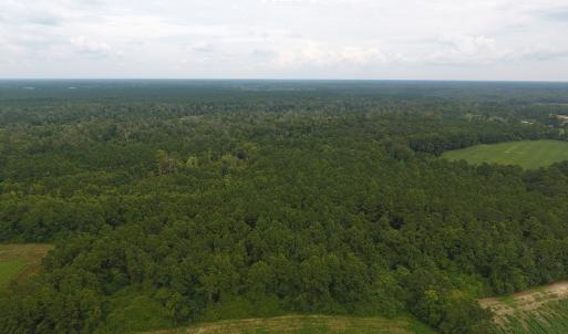 Photo #7 of SOLD property in 15535 Seven Creeks Hwy, Tabor City, NC 13.0 acres