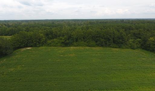 Photo #8 of 15535 Seven Creeks Hwy, Tabor City, NC 13.0 acres