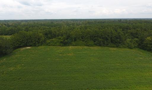 Photo #8 of SOLD property in 15535 Seven Creeks Hwy, Tabor City, NC 13.0 acres