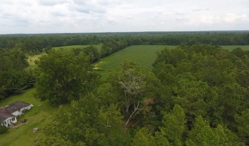 Photo #10 of SOLD property in 15535 Seven Creeks Hwy, Tabor City, NC 13.0 acres
