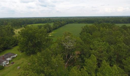 Photo #10 of 15535 Seven Creeks Hwy, Tabor City, NC 13.0 acres