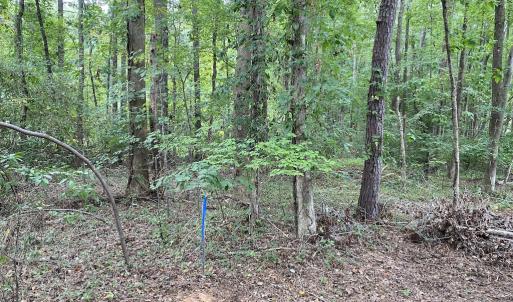 Photo #9 of Off Wade Stephenson Road, Holly Springs, NC 0.6 acres