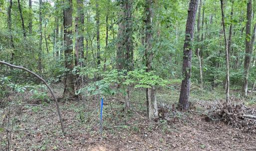 Photo #9 of SOLD property in Off Wade Stephenson Road, Holly Springs, NC 0.6 acres