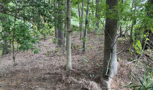 Photo #5 of SOLD property in Off Wade Stephenson Road, Holly Springs, NC 0.6 acres