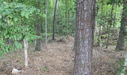 Photo #6 of SOLD property in Off Wade Stephenson Road, Holly Springs, NC 0.6 acres