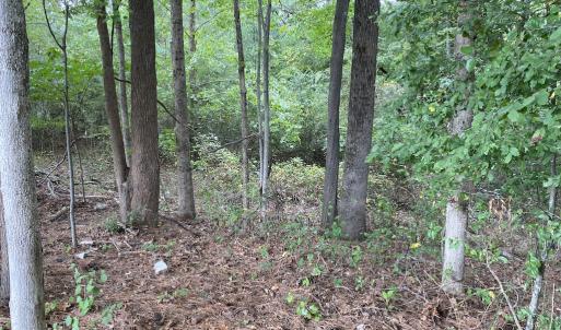 Photo #7 of SOLD property in Off Wade Stephenson Road, Holly Springs, NC 0.6 acres