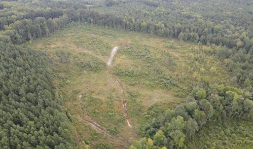 Photo #8 of SOLD property in Off Rowe Road, Warrenton, NC 10.0 acres