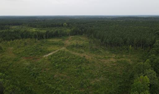 Photo #2 of SOLD property in Off Rowe Road, Warrenton, NC 10.0 acres
