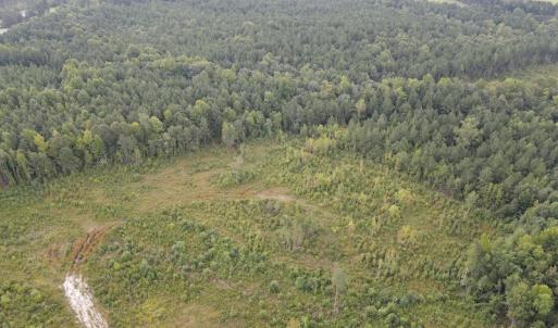 Photo #5 of SOLD property in Off Rowe Road, Warrenton, NC 10.0 acres