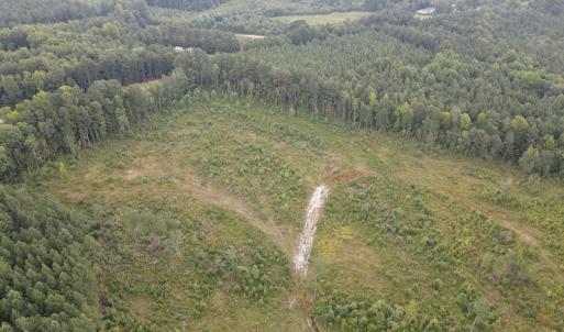 Photo #6 of SOLD property in Off Rowe Road, Warrenton, NC 10.0 acres
