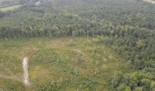 Photo #7 of SOLD property in Off Rowe Road, Warrenton, NC 10.0 acres