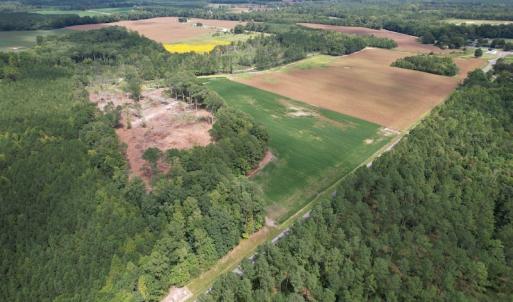 Photo #9 of Off Joyners Bridge Road, Carrsville, VA 71.6 acres