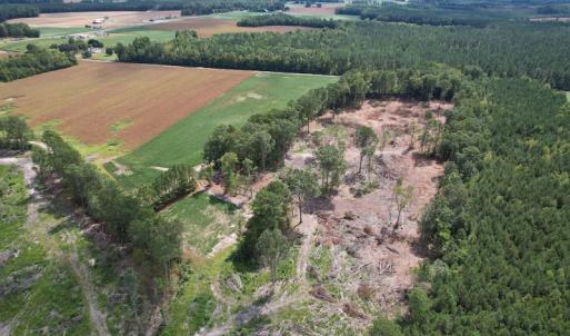 Photo #11 of Off Joyners Bridge Road, Carrsville, VA 71.6 acres