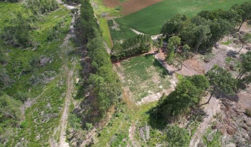 Photo #13 of Off Joyners Bridge Road, Carrsville, VA 71.6 acres