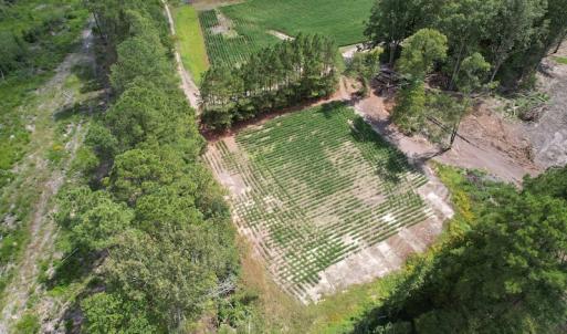 Photo #14 of Off Joyners Bridge Road, Carrsville, VA 71.6 acres