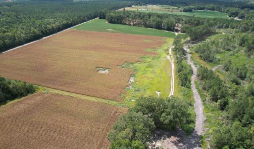 Photo #17 of Off Joyners Bridge Road, Carrsville, VA 71.6 acres