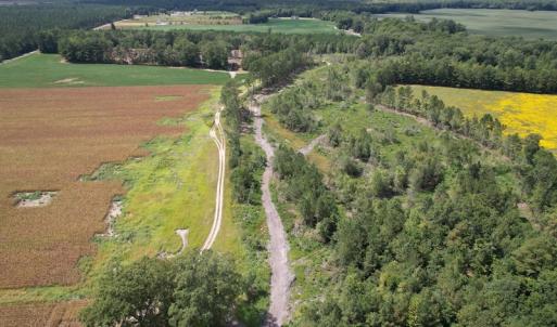 Photo #18 of Off Joyners Bridge Road, Carrsville, VA 71.6 acres