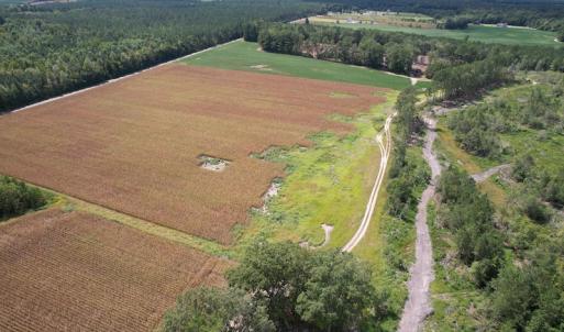 Photo #19 of Off Joyners Bridge Road, Carrsville, VA 71.6 acres