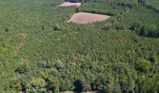 Photo #12 of SOLD property in Off Old Macon Highway, Macon, NC 9.2 acres