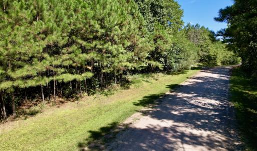 Photo #18 of SOLD property in Off Old Macon Highway, Macon, NC 9.2 acres