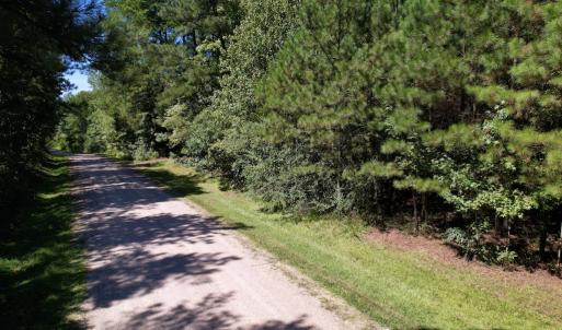 Photo #19 of SOLD property in Off Old Macon Highway, Macon, NC 9.2 acres