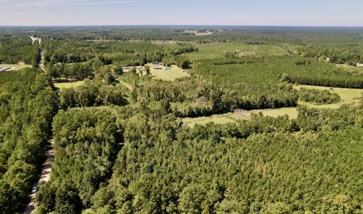 Photo #5 of SOLD property in Off Old Macon Highway, Macon, NC 9.2 acres
