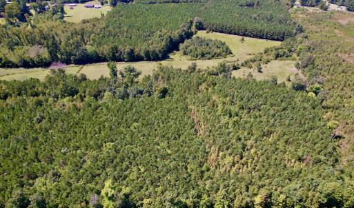 Photo #6 of SOLD property in Off Old Macon Highway, Macon, NC 9.2 acres