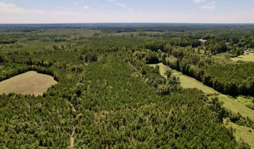 Photo #7 of SOLD property in Off Old Macon Highway, Macon, NC 9.2 acres