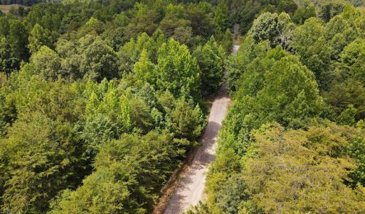 Photo #14 of 189 Hamlet Hills Drive, Reidsville, NC 3.9 acres