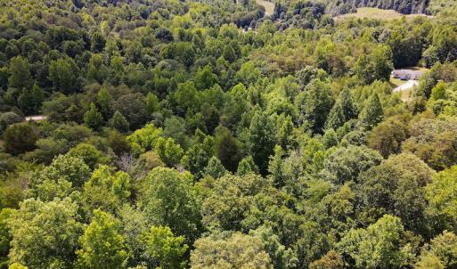 Photo #11 of 189 Hamlet Hills Drive, Reidsville, NC 3.9 acres