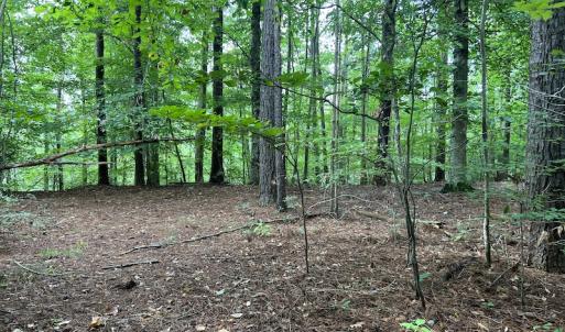 Photo #21 of Off 1307 San Souci Road, Windsor, NC 233.5 acres