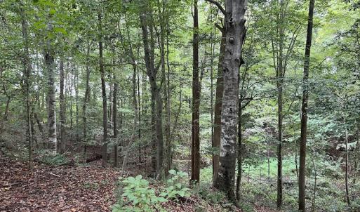 Photo #22 of Off 1307 San Souci Road, Windsor, NC 233.5 acres