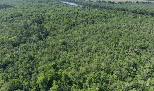 Photo #13 of Off 1307 San Souci Road, Windsor, NC 233.5 acres