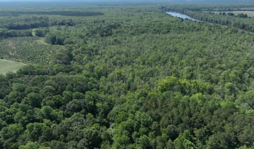 Photo #7 of Off 1307 San Souci Road, Windsor, NC 233.5 acres