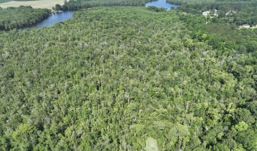 Photo #4 of Off 1307 San Souci Road, Windsor, NC 233.5 acres