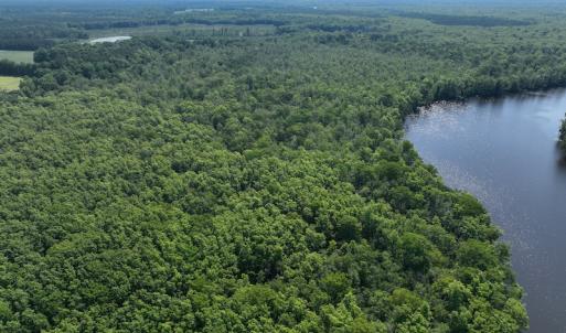 Photo #9 of Off 1307 San Souci Road, Windsor, NC 233.5 acres